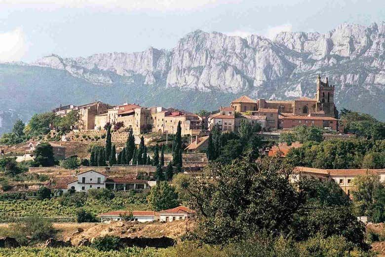 Laguardia and Haro Day Trip from Bilbao with Two Wineries, 8 Hours (2/9)