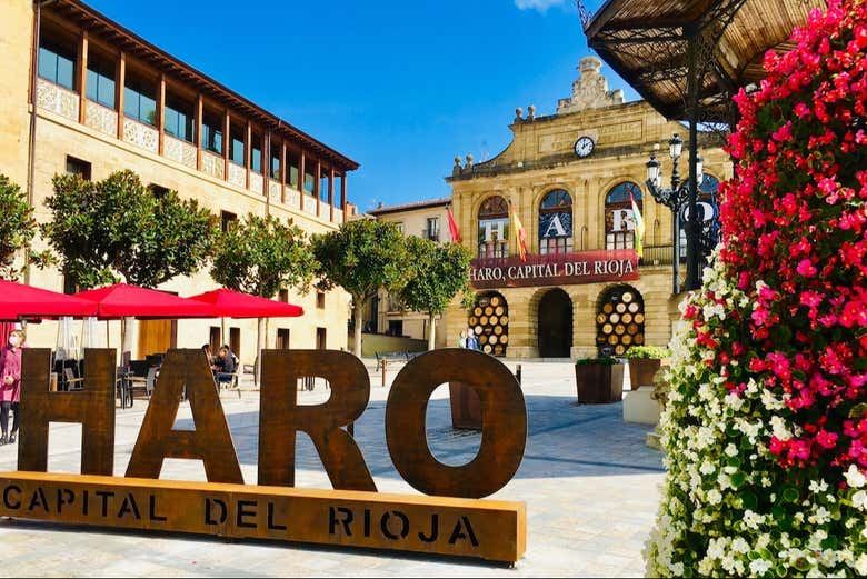 Laguardia and Haro Day Trip from Bilbao with Two Wineries, 8 Hours (3/9)