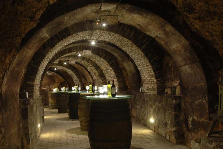 Laguardia and Haro Day Trip from Bilbao with Two Wineries, 8 Hours (5/9)