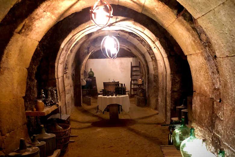 Laguardia Walking Tour with Wine Cave Visit and Tasting of Two Rioja Wines (6/6)