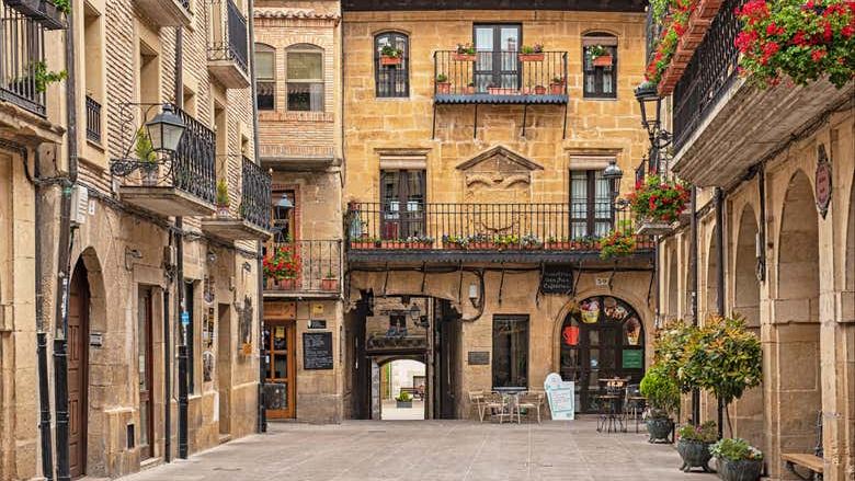 Laguardia Walking Tour with Wine Cave Visit and Tasting of Two Rioja Wines (1/6)