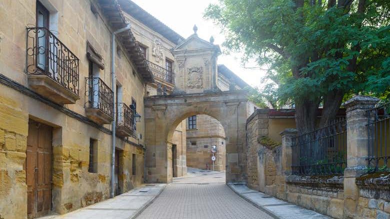 Laguardia Walking Tour with Wine Cave Visit and Tasting of Two Rioja Wines (2/6)