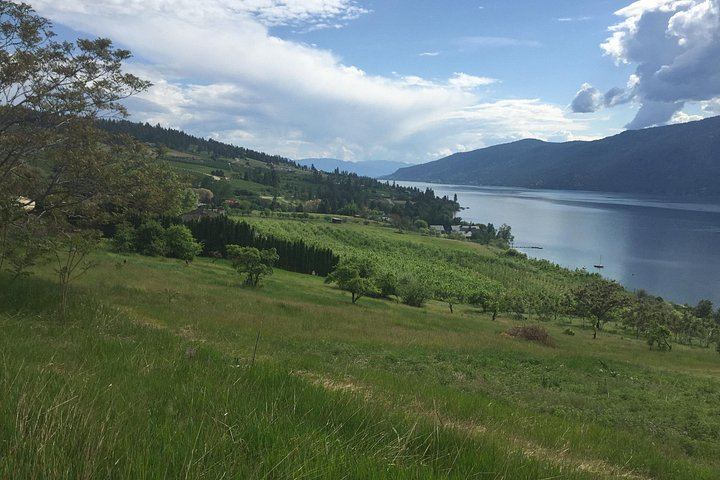 Lake Country Scenic Sip Wine Tour with Okanagan Wine Country Tours and Lunch Reservation (2/3)
