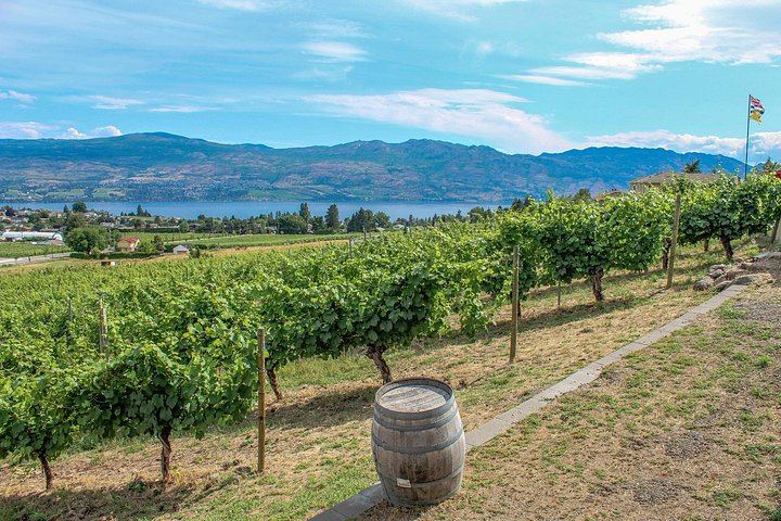 Kelowna or West Kelowna Afternoon Wine Tour by Mercedes Van, Up to 4 Hours (6/12)
