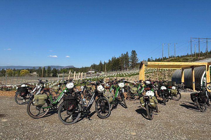 Kelowna Self-Guided E-Bike Wine Tour: Hidden Vines, SpearHead and Meadow Vista Mead (6/12)