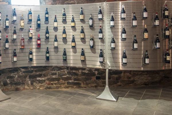 Castiglione Falletto Municipal Cellar Wine Tasting: Arneis, Dolcetto, Barbera and Barolo