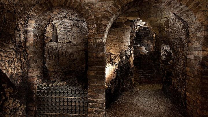 La Morra Winery Visit and Wine Tasting in the Langhe: 90-Minute Cellar Experience (4/9)