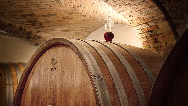La Morra Winery Visit and Wine Tasting in the Langhe: 90-Minute Cellar Experience (2/9)