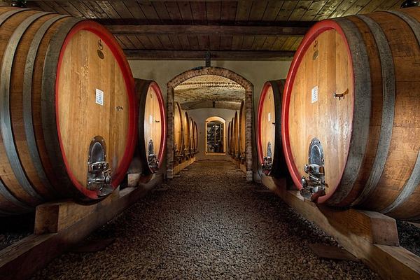 La Morra Winery Visit and Wine Tasting in the Langhe: 90-Minute Cellar Experience