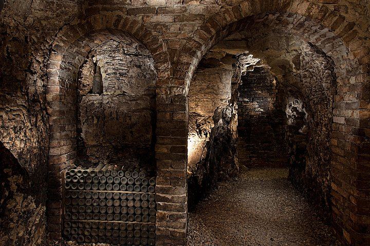 La Morra Winery Visit and Wine Tasting in the Langhe: 90-Minute Cellar Experience (4/9)