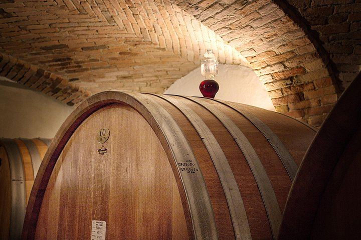 La Morra Winery Visit and Wine Tasting in the Langhe: 90-Minute Cellar Experience (2/9)