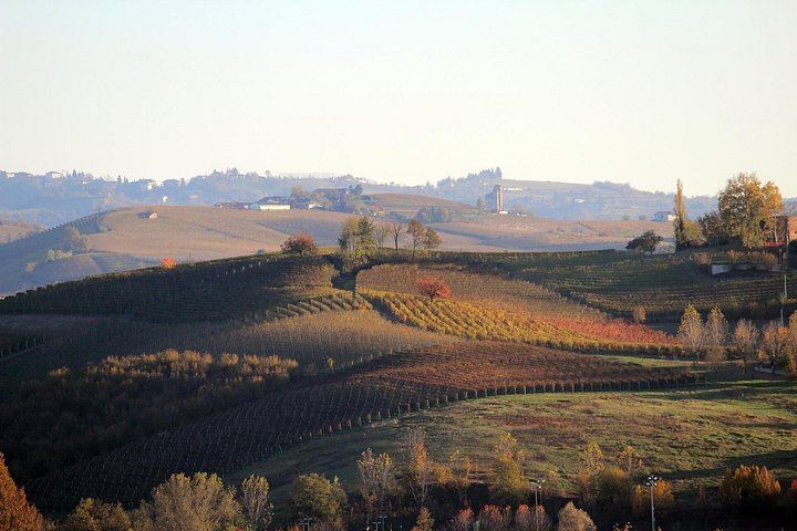 La Morra Winery Visit and Wine Tasting in the Langhe: 90-Minute Cellar Experience (5/9)