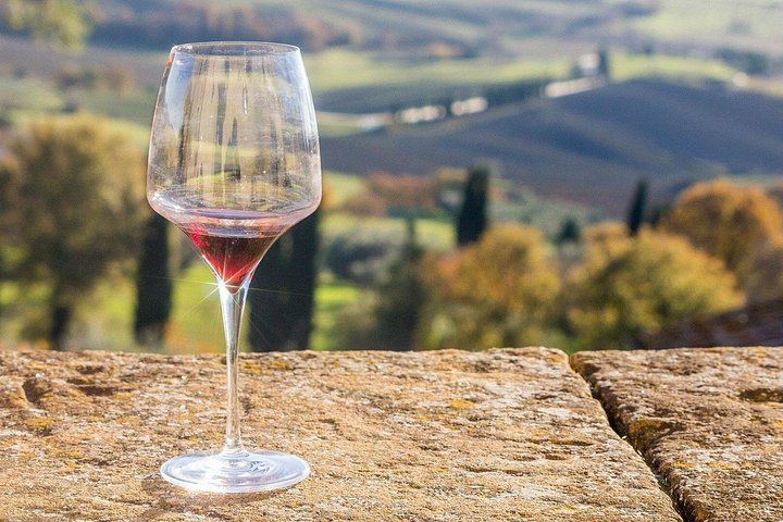 La Morra Winery Visit and Wine Tasting in the Langhe: 90-Minute Cellar Experience (8/9)