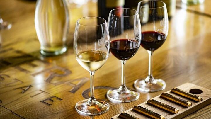 Private Helicopter Flight to Cape Point and Stellenbosch Wine Tastings with 4-Course Lunch (2/12)