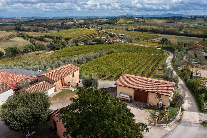 Le Bèrne Winery Tour in Cervognano with Vino Nobile and Sangiovese Tasting (9/12)