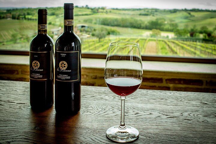 Le Bèrne Winery Tour in Cervognano with Vino Nobile and Sangiovese Tasting (3/12)