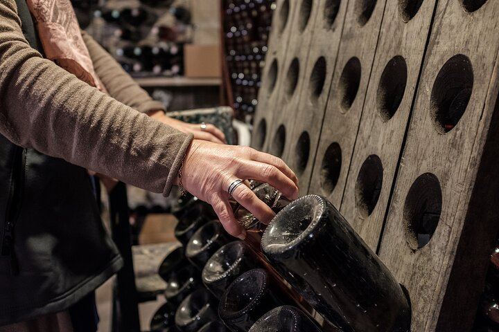 Private Reims Champagne Day: Veuve Clicquot Cellars, Cathedral, Rilly-la-Montagne Grower (8/12)