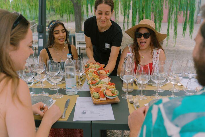 The Tour Guy Tuscany Day Trip from Florence: Siena, Six-Wine Chianti Lunch, San Gimignano (9/12)