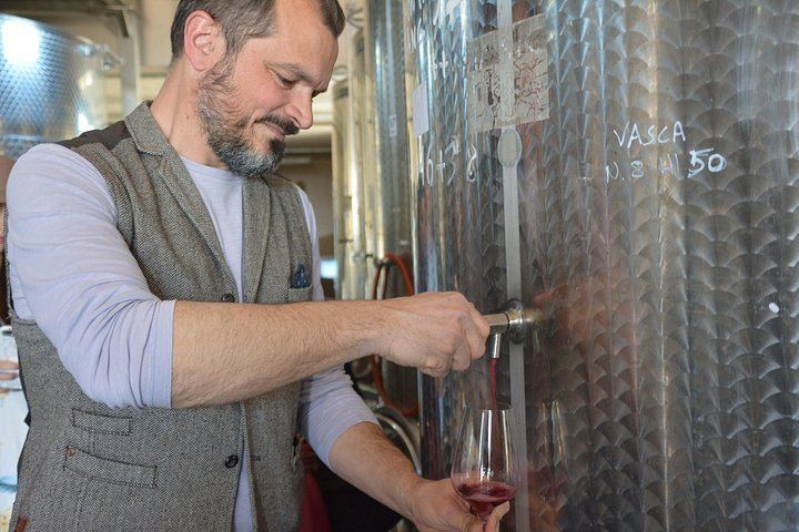 Small-Group Chianti Half-Day: Two Family Wineries, 8 Wines and Home-Cooked Lunch, Max 8 (6/12)