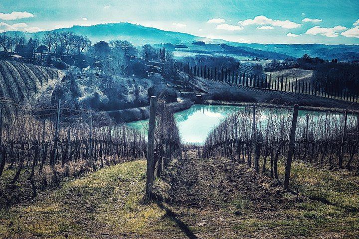 Private Guided Brunello Tasting in Montalcino: Wine Estates, Cellars and Sant'Antimo Abbey (7/7)