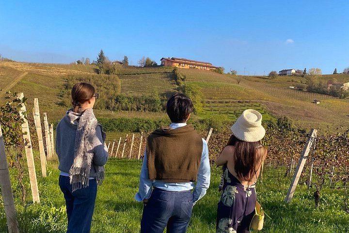 Private Sommelier-Led Langhe Hills Day: Barolo and Barbaresco Wineries, Osteria Lunch (7/12)