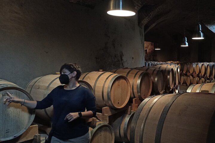 Langhe Wine Day Trip from Turin by Van: Alta Langa Cellar, Village Lunch, Barolo Tasting (9/12)