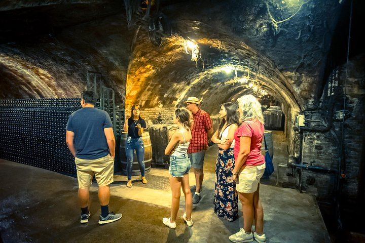 Montserrat and Penedes Cava Winery Small-Group Day by Minivan with Farmhouse Lunch (1/12)