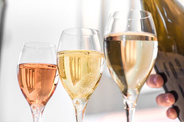 Premier Cru Champagne Vineyard Visit and Triple Tasting in Coulommes-la-Montagne (3/10)