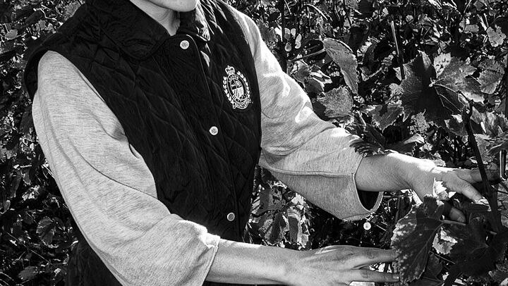 Premier Cru Champagne Vineyard Visit and Triple Tasting in Coulommes-la-Montagne (4/10)