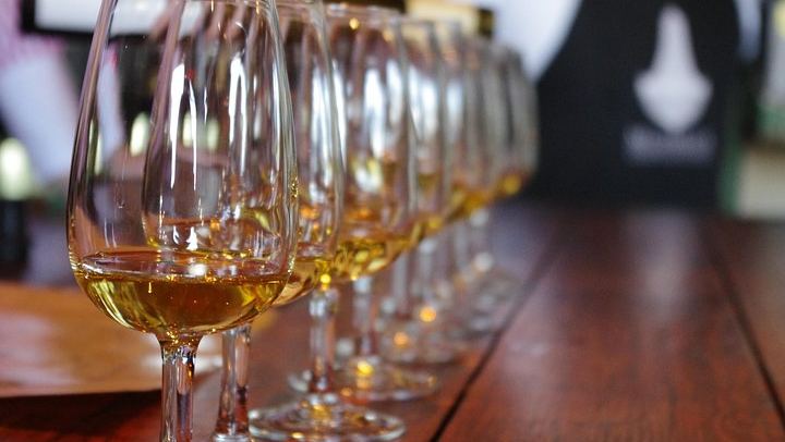 Waiheke Island Premium Wine Tour from Auckland: Max 11 Guests, 3 Boutique Vineyards (4/10)