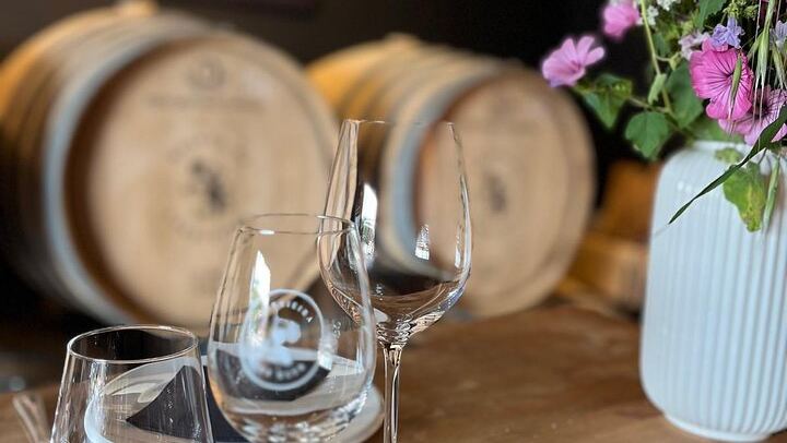 Carcavelos Wine Tour at Quinta da Corrieira, a Family Winery 10 km from Lisbon (2/8)