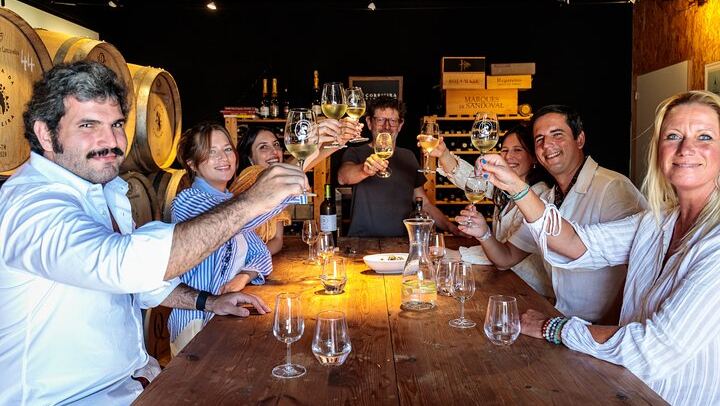 Carcavelos Wine Tour at Quinta da Corrieira, a Family Winery 10 km from Lisbon (1/8)