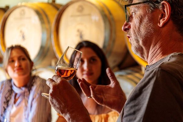 Carcavelos Wine Tour at Quinta da Corrieira, a Family Winery 10 km from Lisbon