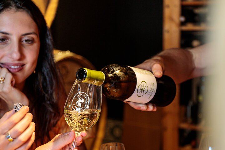 Carcavelos Wine Tour at Quinta da Corrieira, a Family Winery 10 km from Lisbon (7/8)