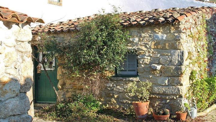 Private Setúbal Wine Tour from Lisbon: Palhoça and Ermelinda Freitas Wineries (3/9)