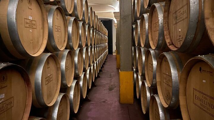 Private Setúbal Wine Tour from Lisbon: Palhoça and Ermelinda Freitas Wineries (2/9)