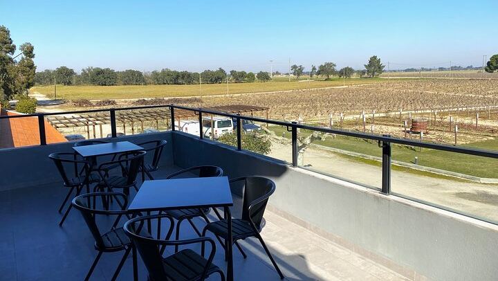 Private Setúbal Wine Tour from Lisbon: Palhoça and Ermelinda Freitas Wineries (4/9)
