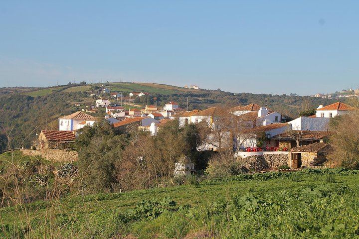 Private Setúbal Wine Tour from Lisbon: Palhoça and Ermelinda Freitas Wineries (1/9)