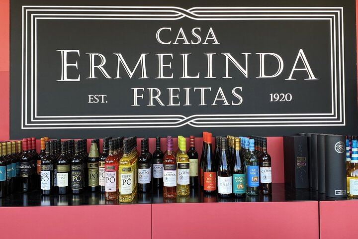 Private Setúbal Wine Tour from Lisbon: Palhoça and Ermelinda Freitas Wineries (9/9)