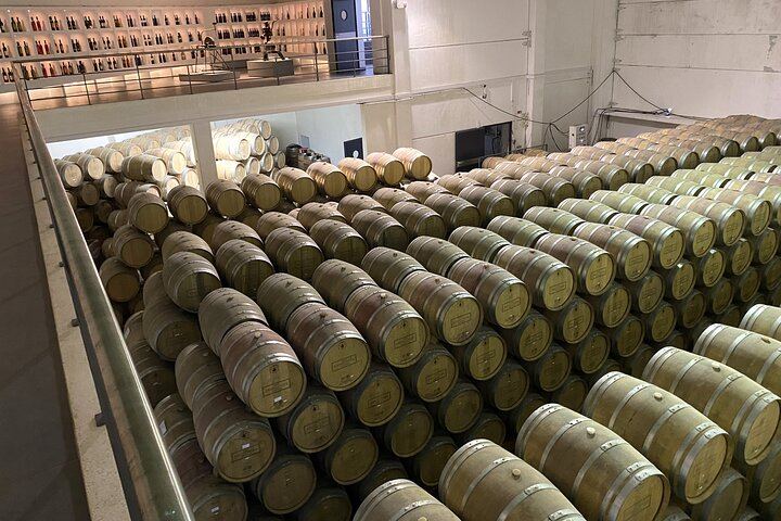 Private Setúbal Wine Tour from Lisbon: Palhoça and Ermelinda Freitas Wineries (6/9)