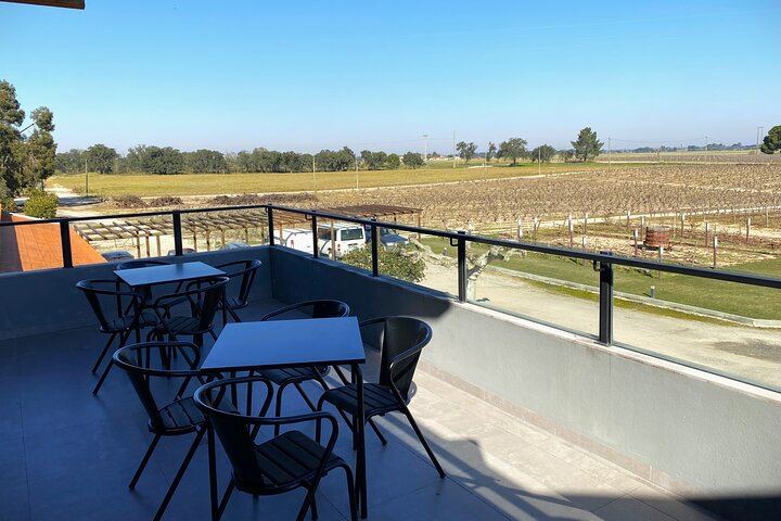 Private Setúbal Wine Tour from Lisbon: Palhoça and Ermelinda Freitas Wineries (4/9)