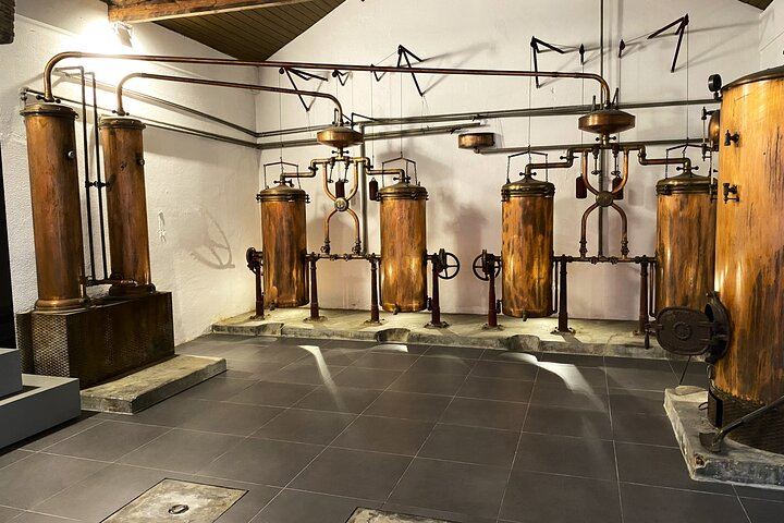 Private Setúbal Wine Tour from Lisbon: Palhoça and Ermelinda Freitas Wineries (8/9)