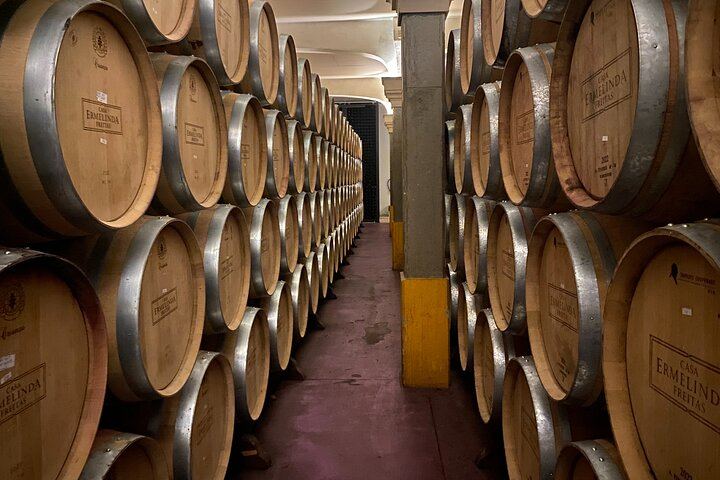 Private Setúbal Wine Tour from Lisbon: Palhoça and Ermelinda Freitas Wineries (2/9)
