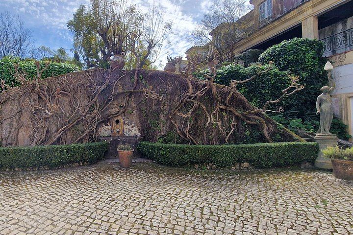 Arrábida Wine Day from Lisbon: Livramento Market, Leiveira Tile Factory and Two Cellars (10/12)