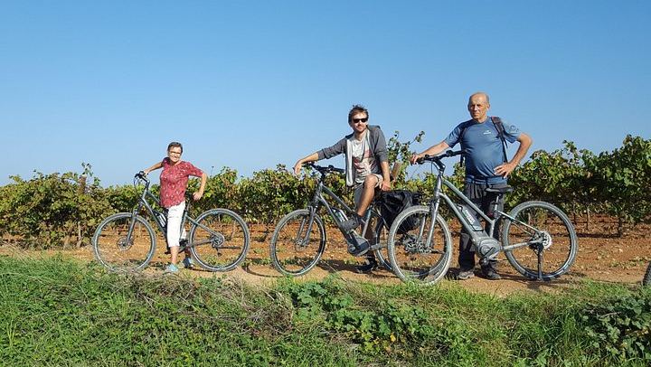 Penedès Vineyard E-Bike or Mountain Bike Small Group Day Trip with 2 Wineries (4/10)