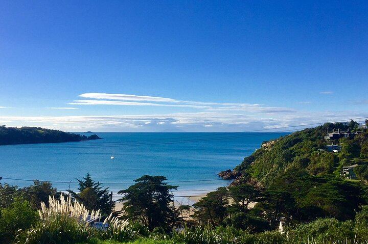 Waiheke Half-Day Scenic Wine Tour: Two Vineyards, Platter Lunch, 12pm Ferry (9/11)