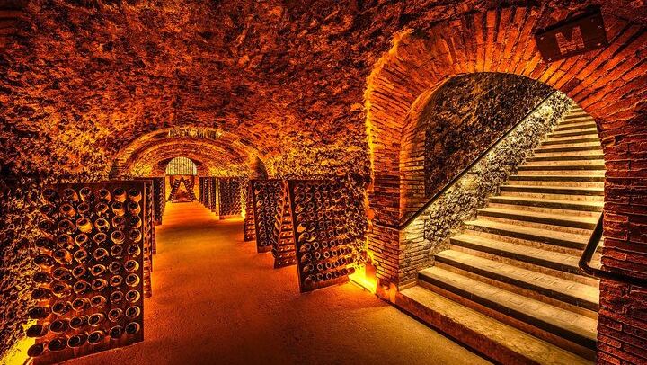 Champagne Day Trip from Paris: Mercier Cellar Train, Dom Caudron, Verzenay Vineyard Picnic (4/12)