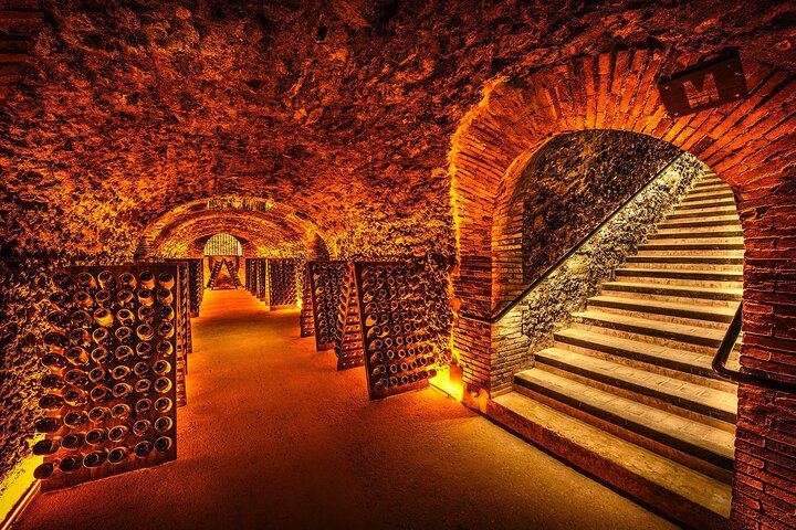 Champagne Day Trip from Paris: Mercier Cellar Train, Dom Caudron, Verzenay Vineyard Picnic (4/12)