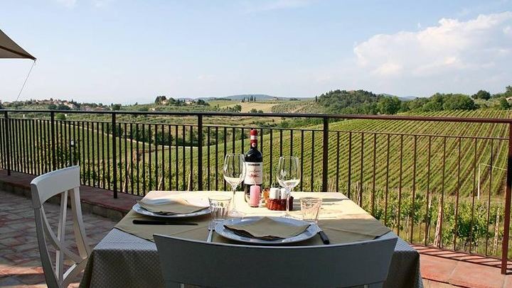 Private Chianti Wine Tour from Livorno Port: Greve, Panzano and a Hilltop Winery (1/8)