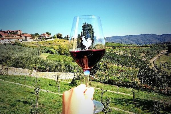 Private Chianti Wine Tour from Livorno Port: Greve, Panzano and a Hilltop Winery
